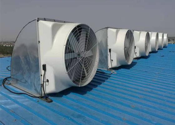 熱烈慶祝成功案例上線